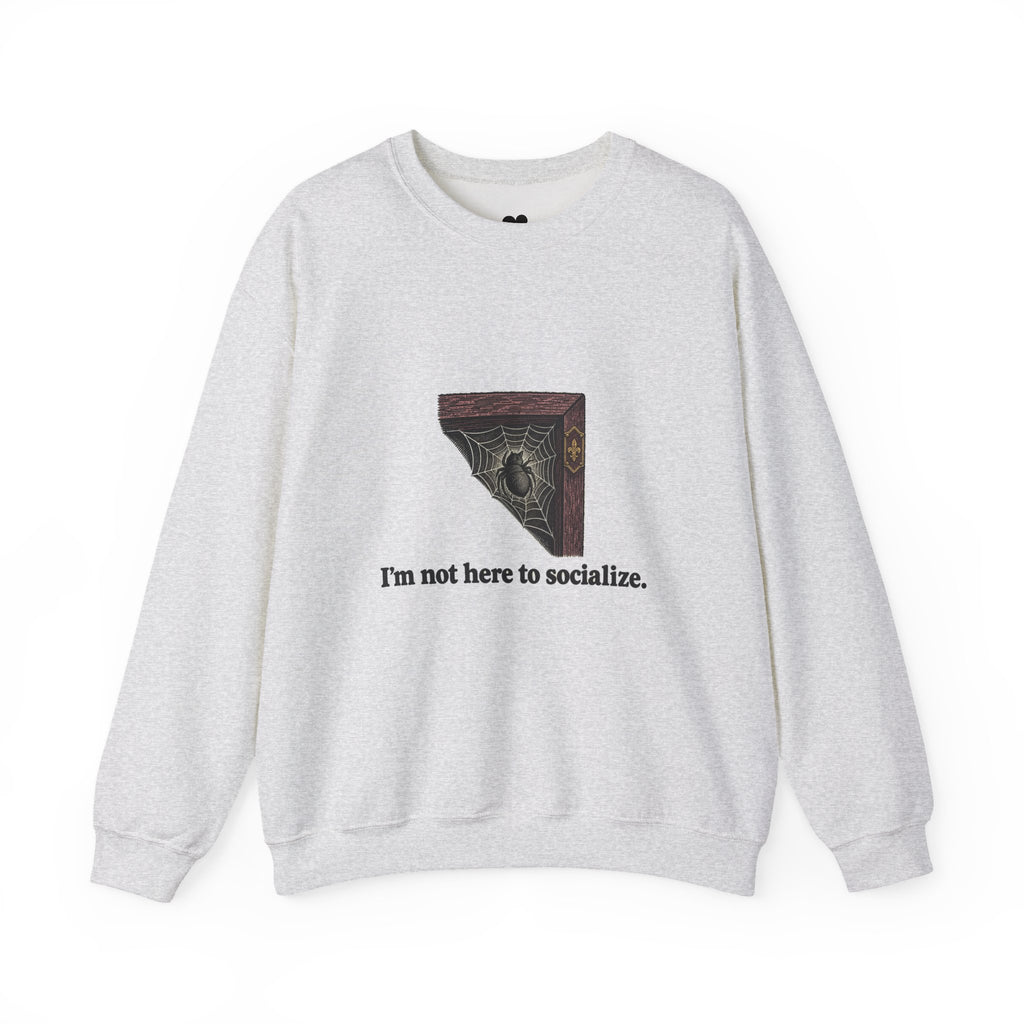 I'm Not Here to Socialize spider sweatshirt in Ash, front view with “I'm not here to socialize.” chest print