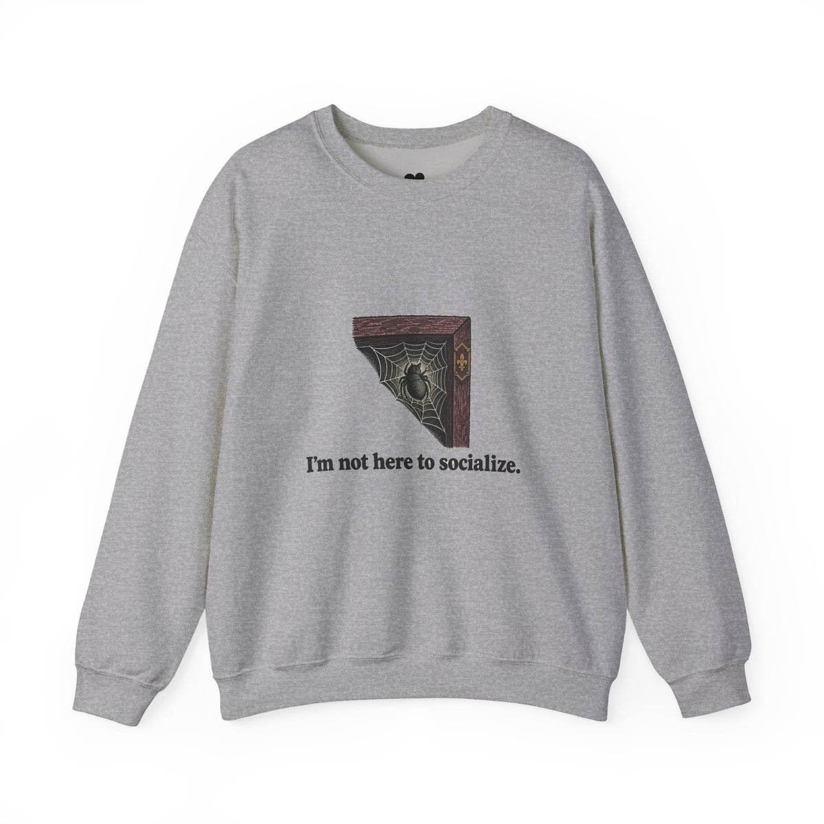 I'm Not Here to Socialize spider sweatshirt in Sport Grey, front view with “I'm not here to socialize.” chest print